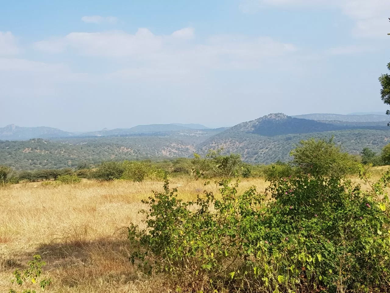 Photo of Sangam-Mekedhatu Road By Abhinav Banerjee