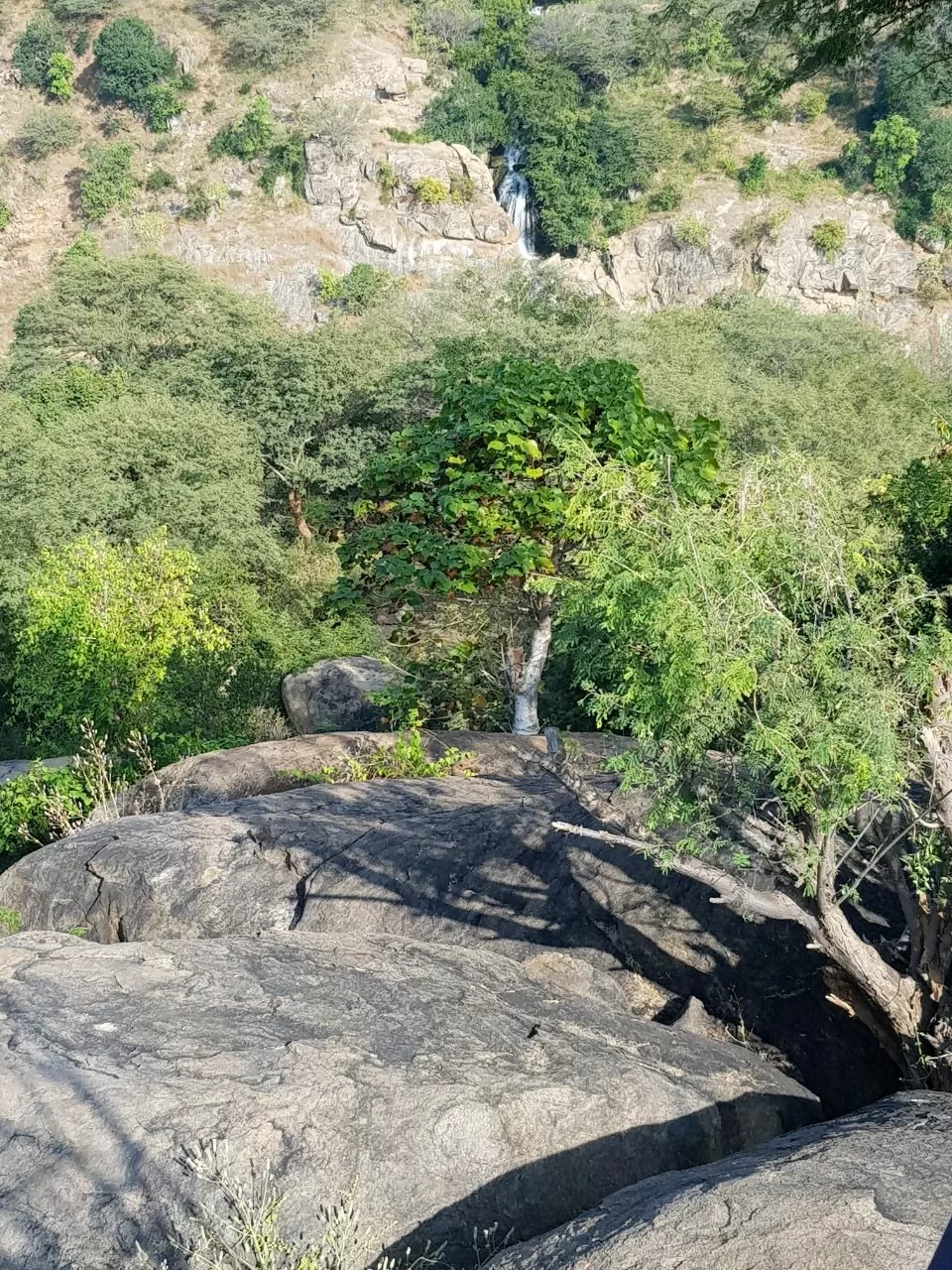 Photo of Sangam-Mekedhatu Road By Abhinav Banerjee