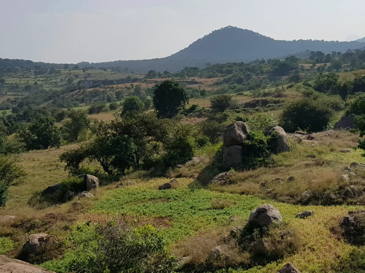 Photo of Sangam-Mekedhatu Road By Abhinav Banerjee