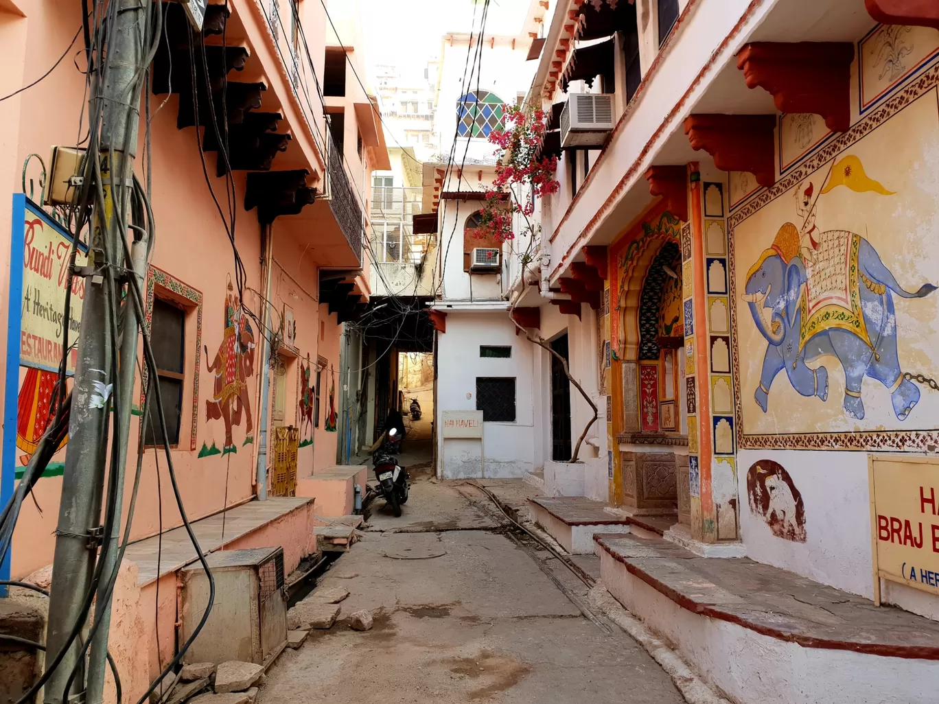 Photo of Rajasthan By Priya Pawar