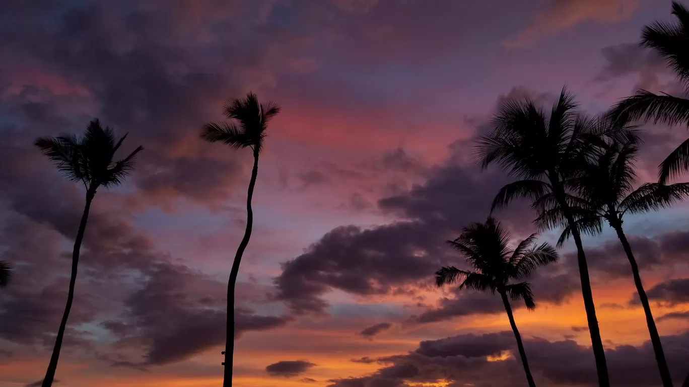 Photo of Maui By MashAllah