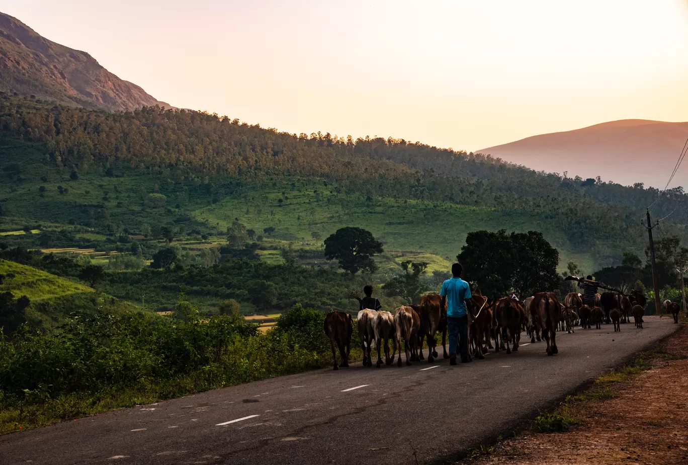 Photo of Koraput By Abhishek Mishra 