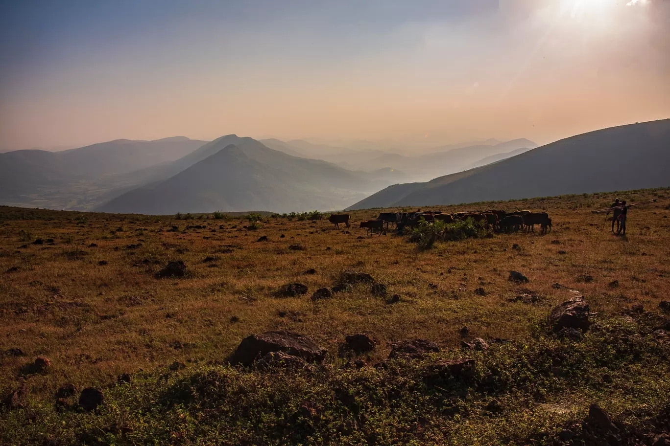 Photo of Koraput By Abhishek Mishra 