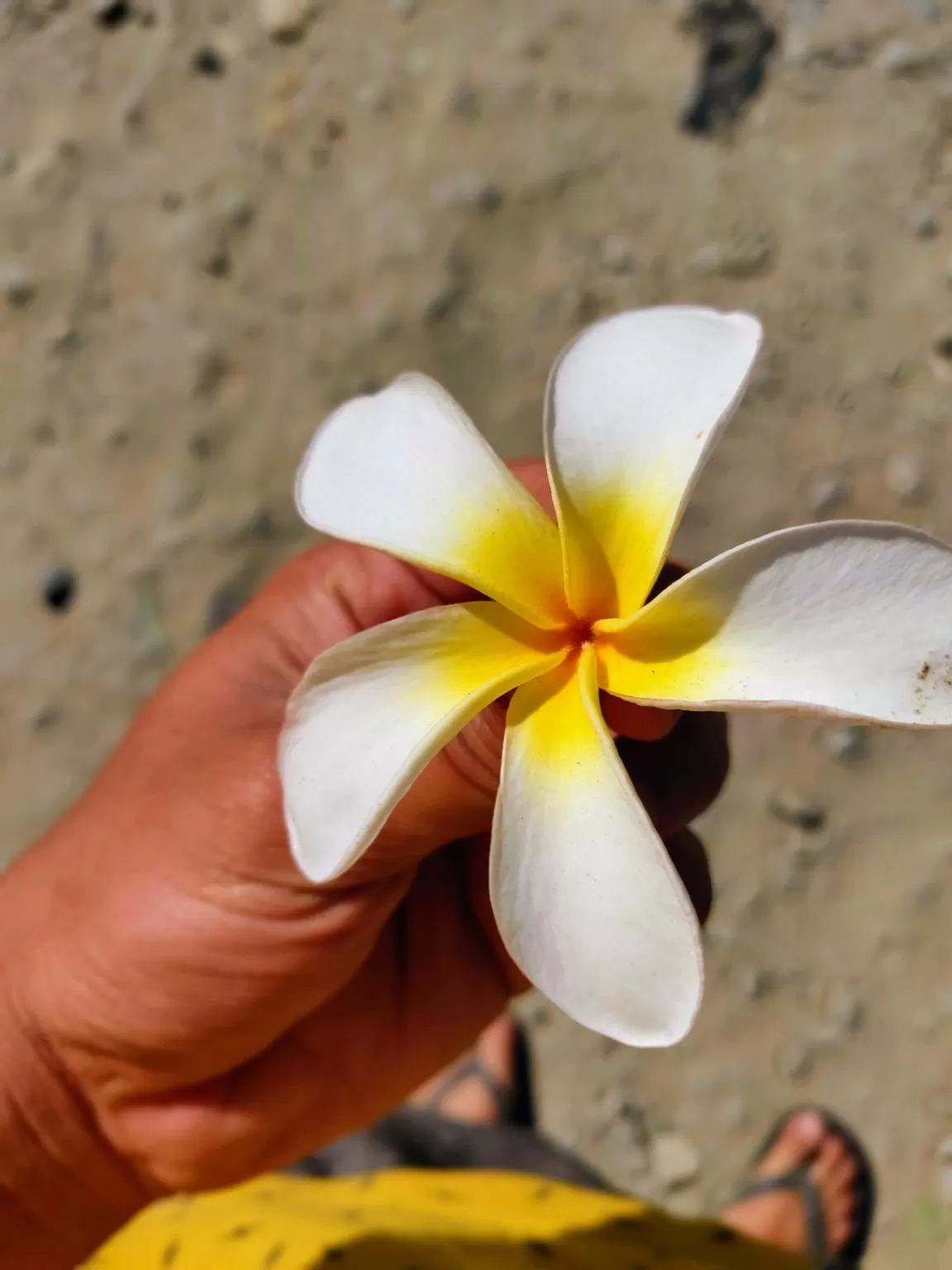 Photo of Charmadi By Prajwal Jain