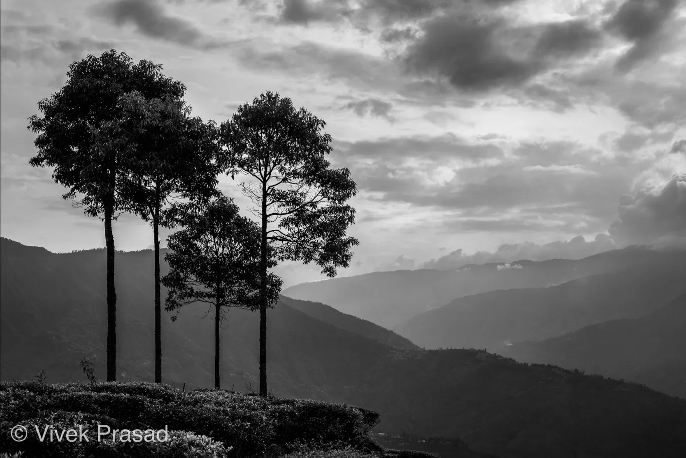 Photo of Darjeeling By Vivek J Prasad