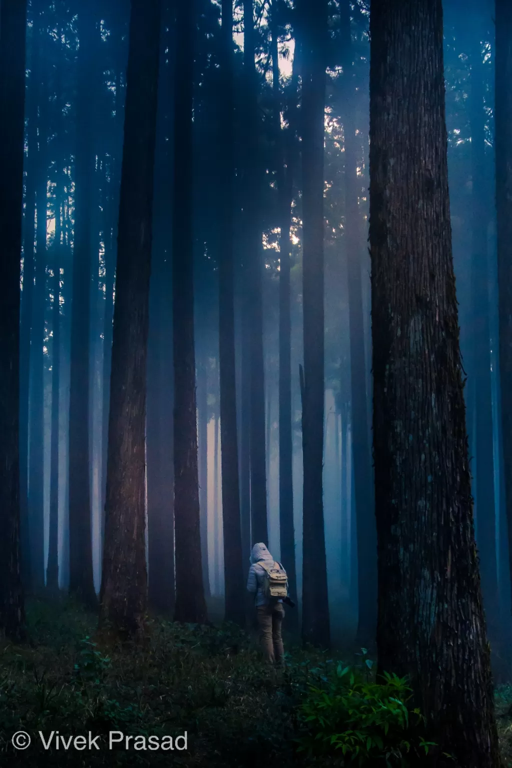 Photo of Darjeeling By Vivek J Prasad