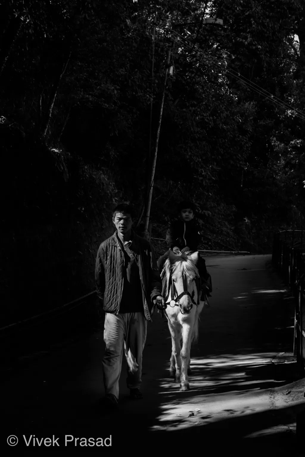 Photo of Darjeeling By Vivek J Prasad