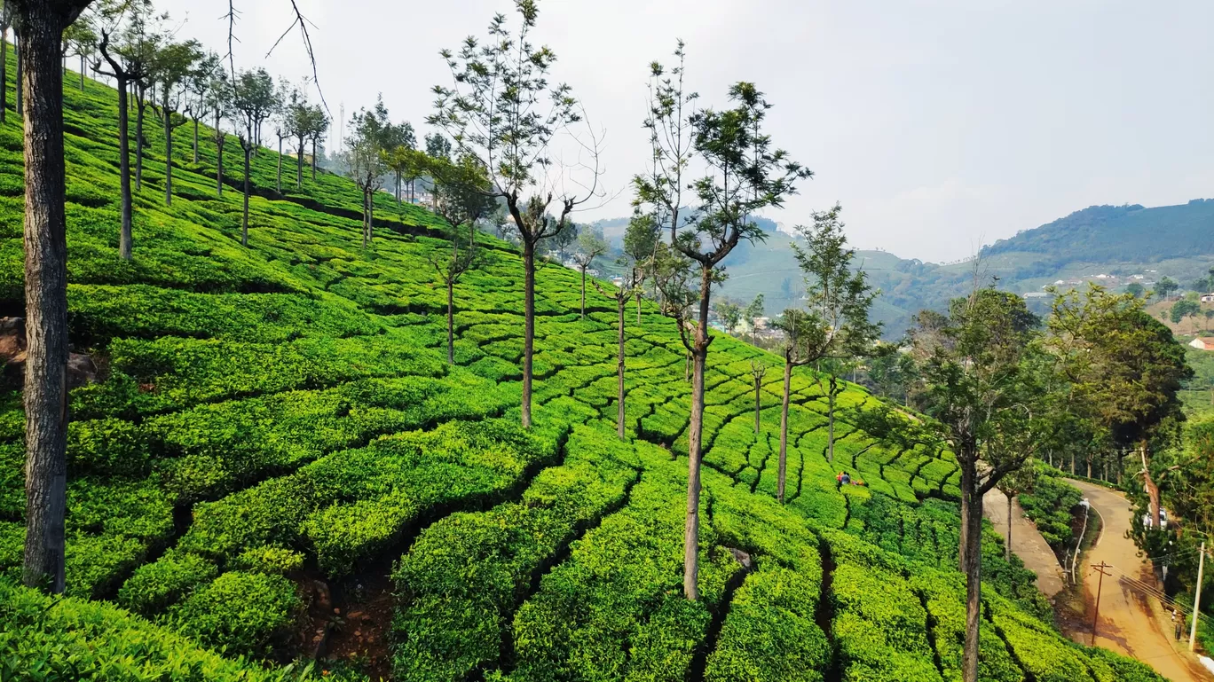 Photo of Coonoor Road By Prakash Choudhry