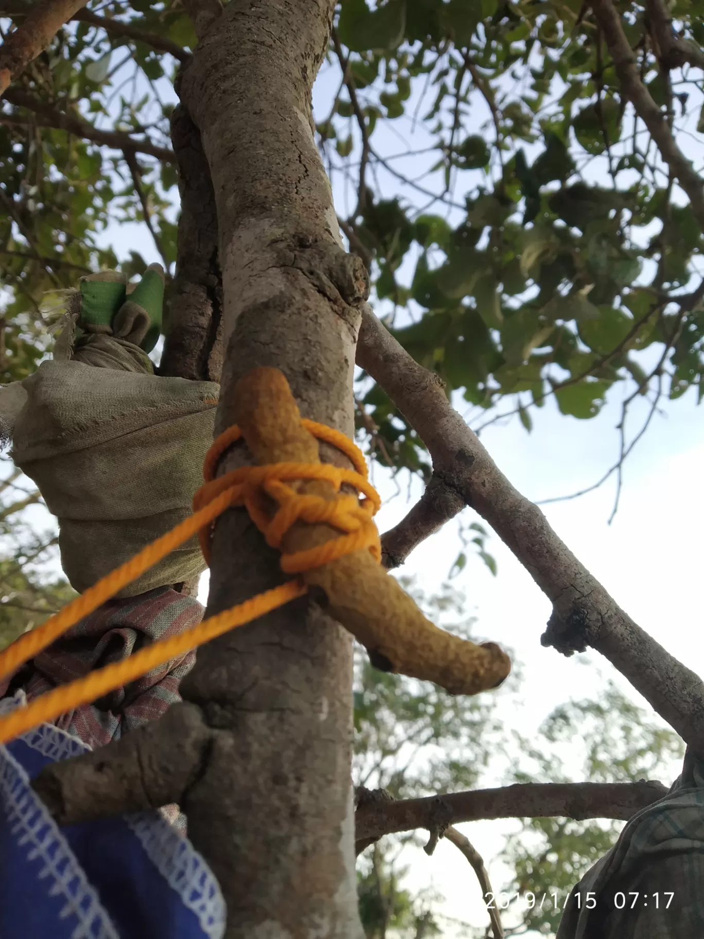 Photo of Parvathamalai Trail By Praba Prakash
