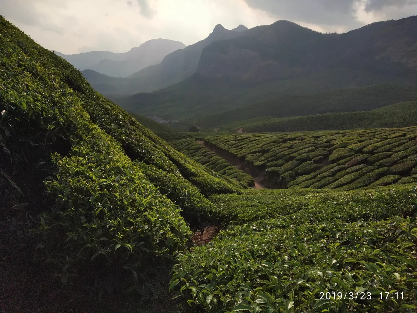 Photo of Kolukkumalai Tea Plantation By Praba Prakash