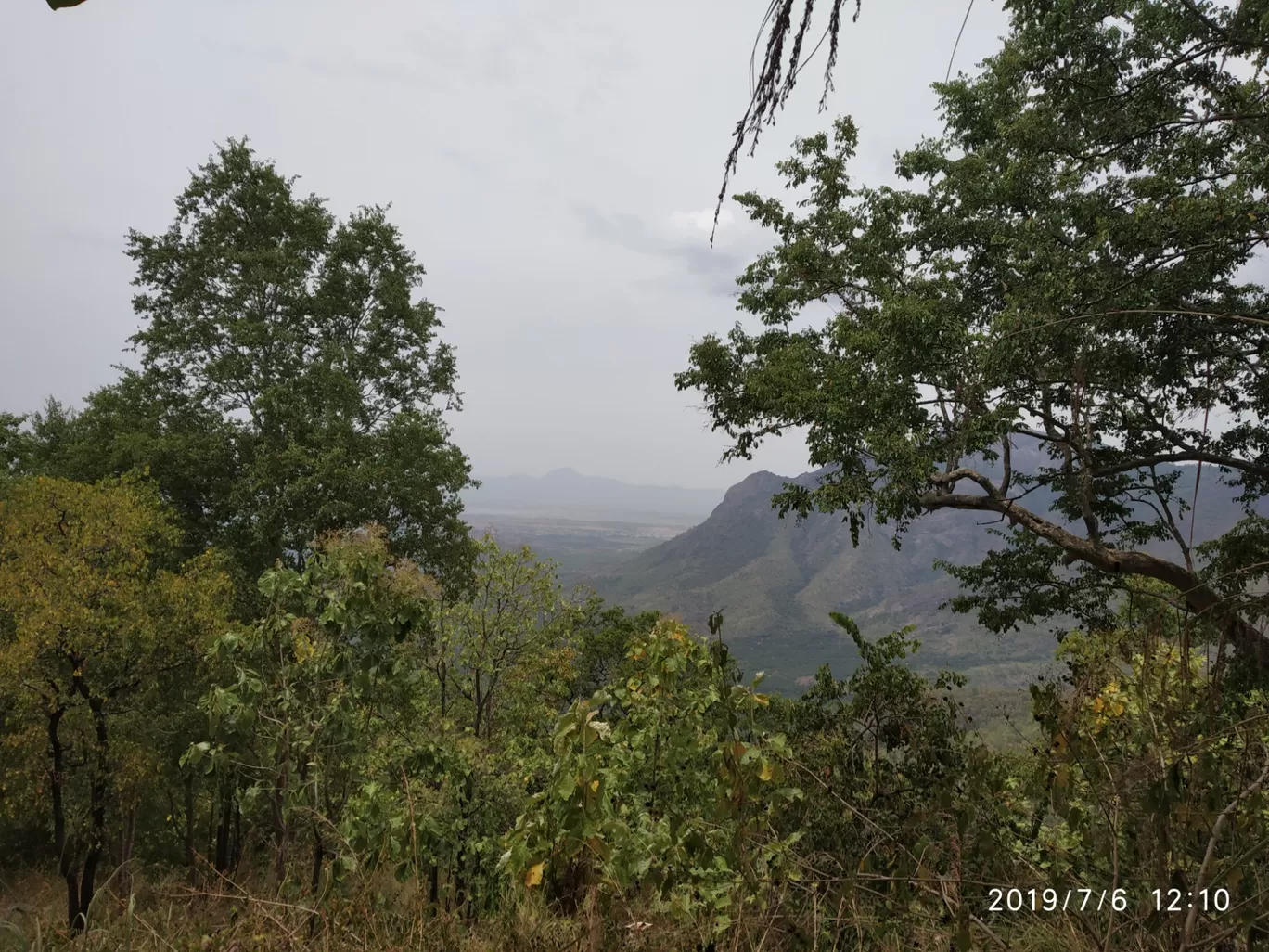 Photo of Vellagavi Forest By Praba Prakash
