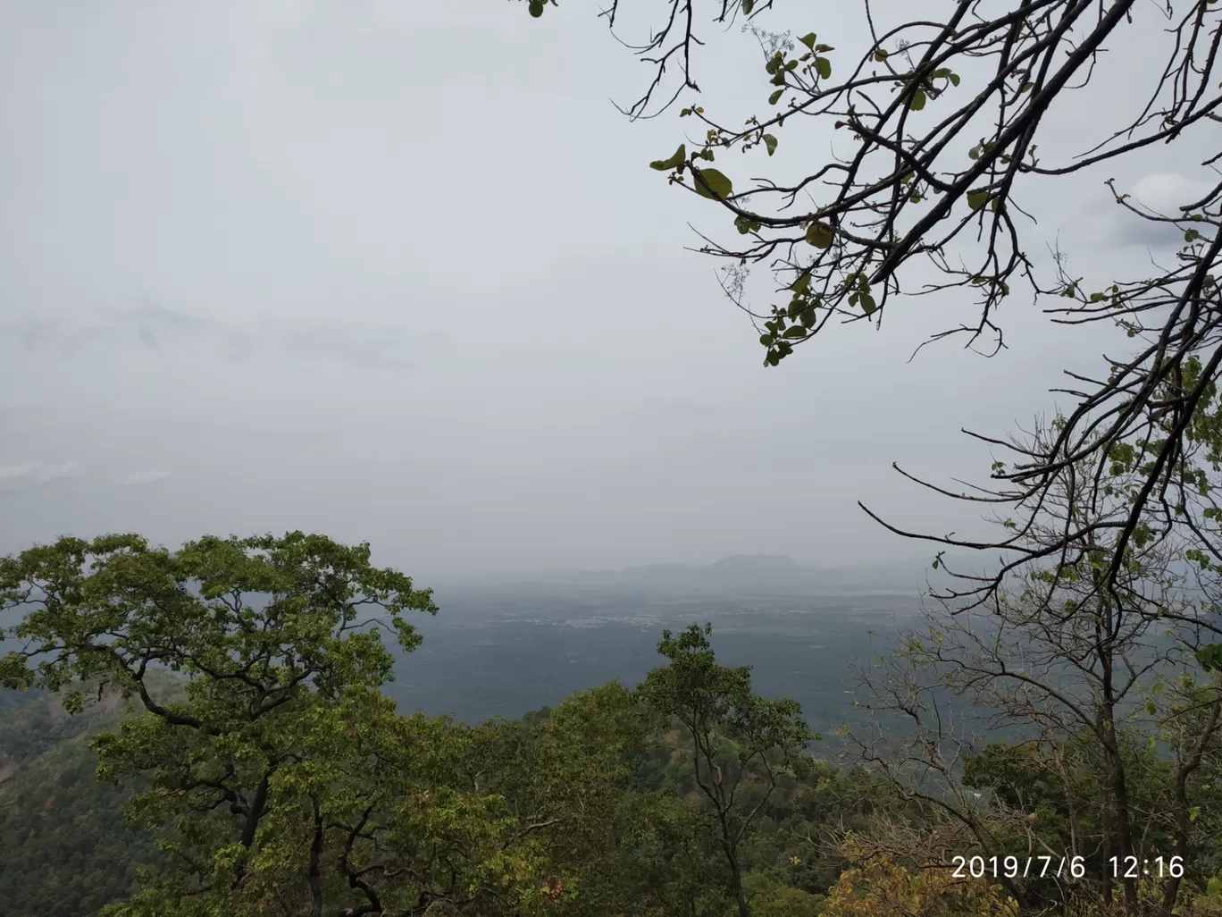 Photo of Vellagavi Forest By Praba Prakash