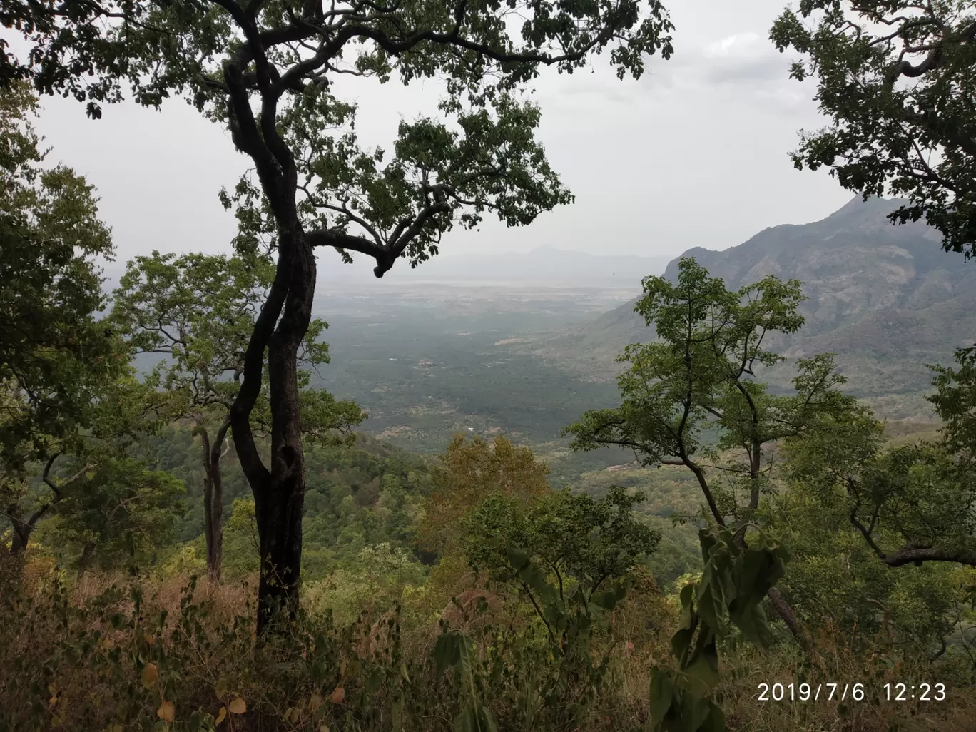 Photo of Vellagavi Forest By Praba Prakash