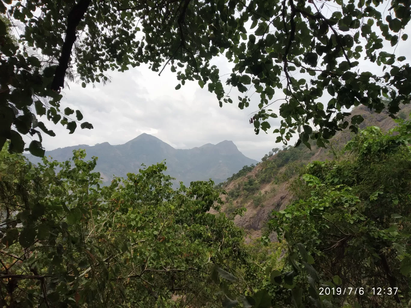 Photo of Vellagavi Forest By Praba Prakash