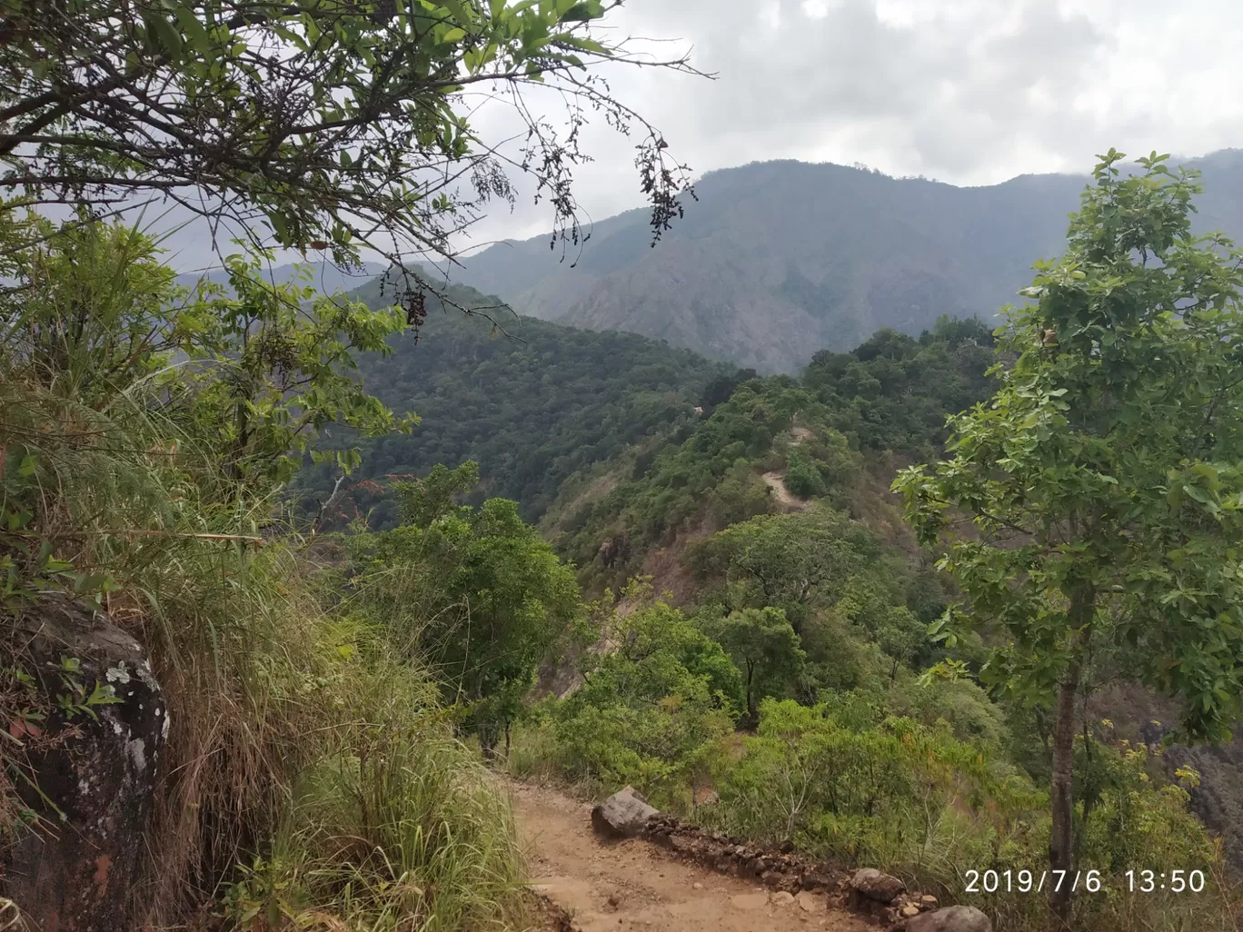 Photo of Vellagavi Forest By Praba Prakash