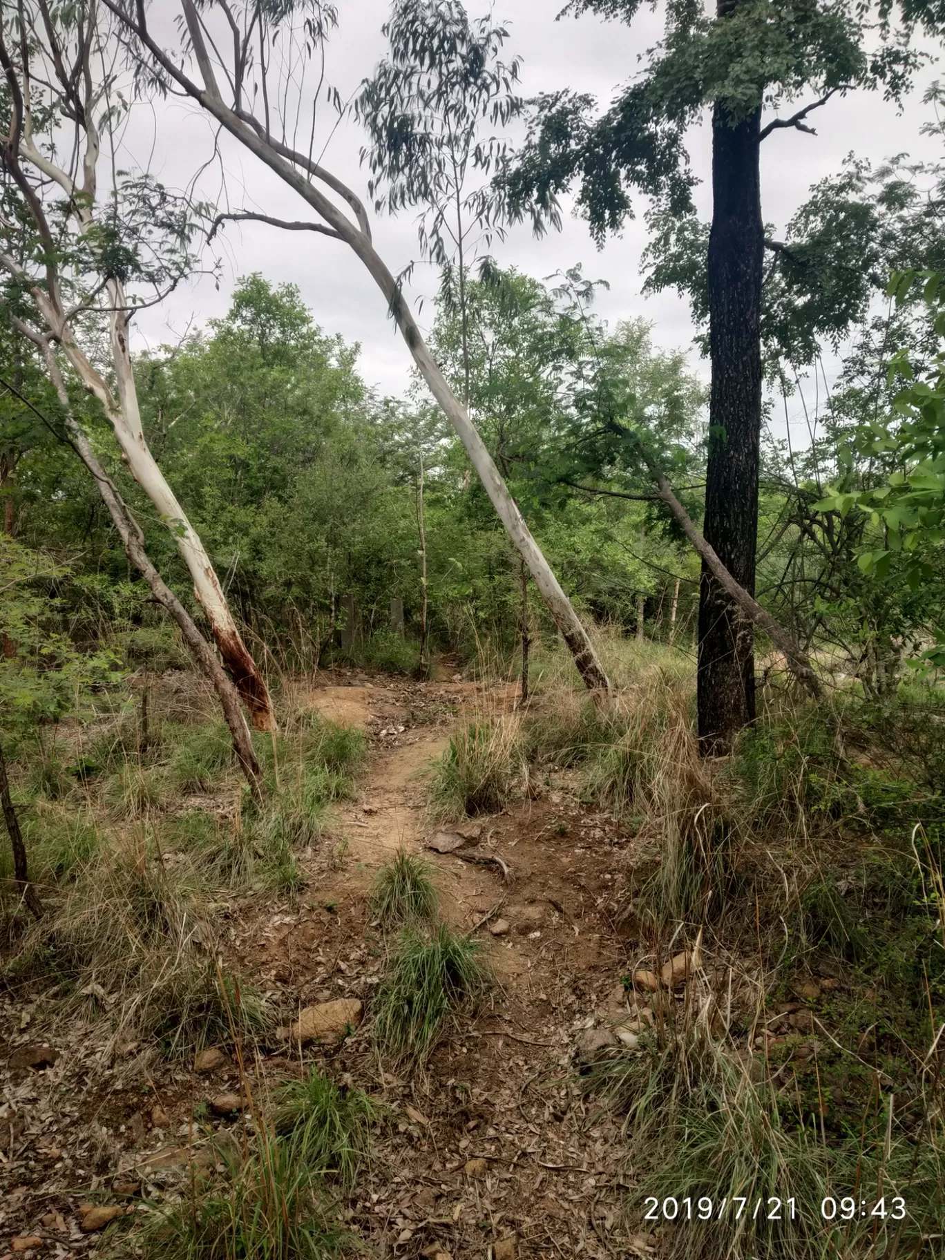 Photo of Girivalam Road By Praba Prakash