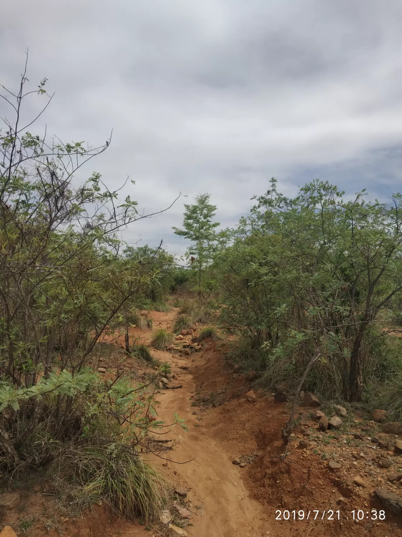 Photo of Girivalam Road By Praba Prakash