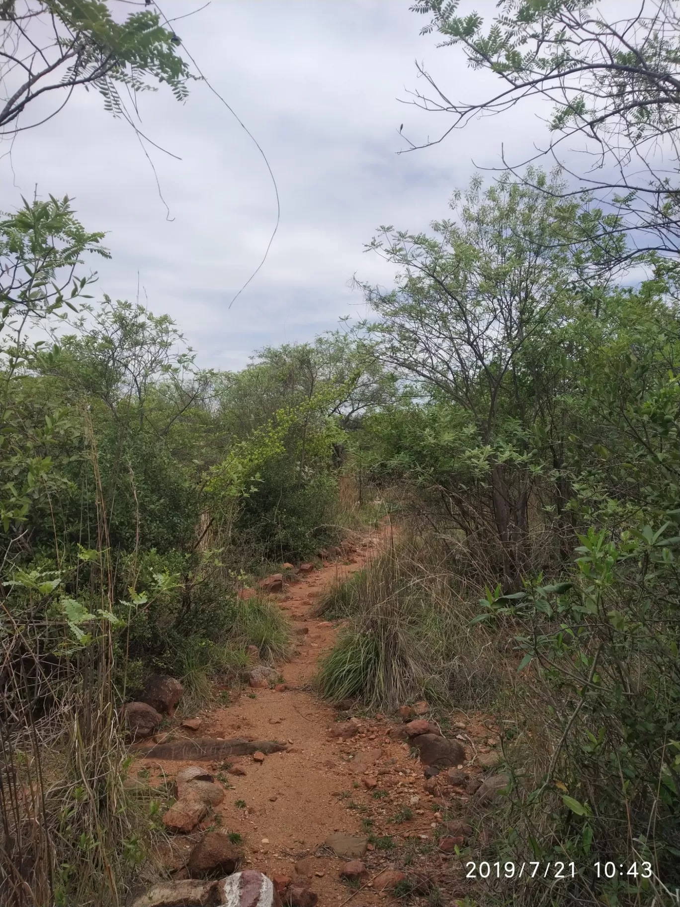 Photo of Girivalam Road By Praba Prakash