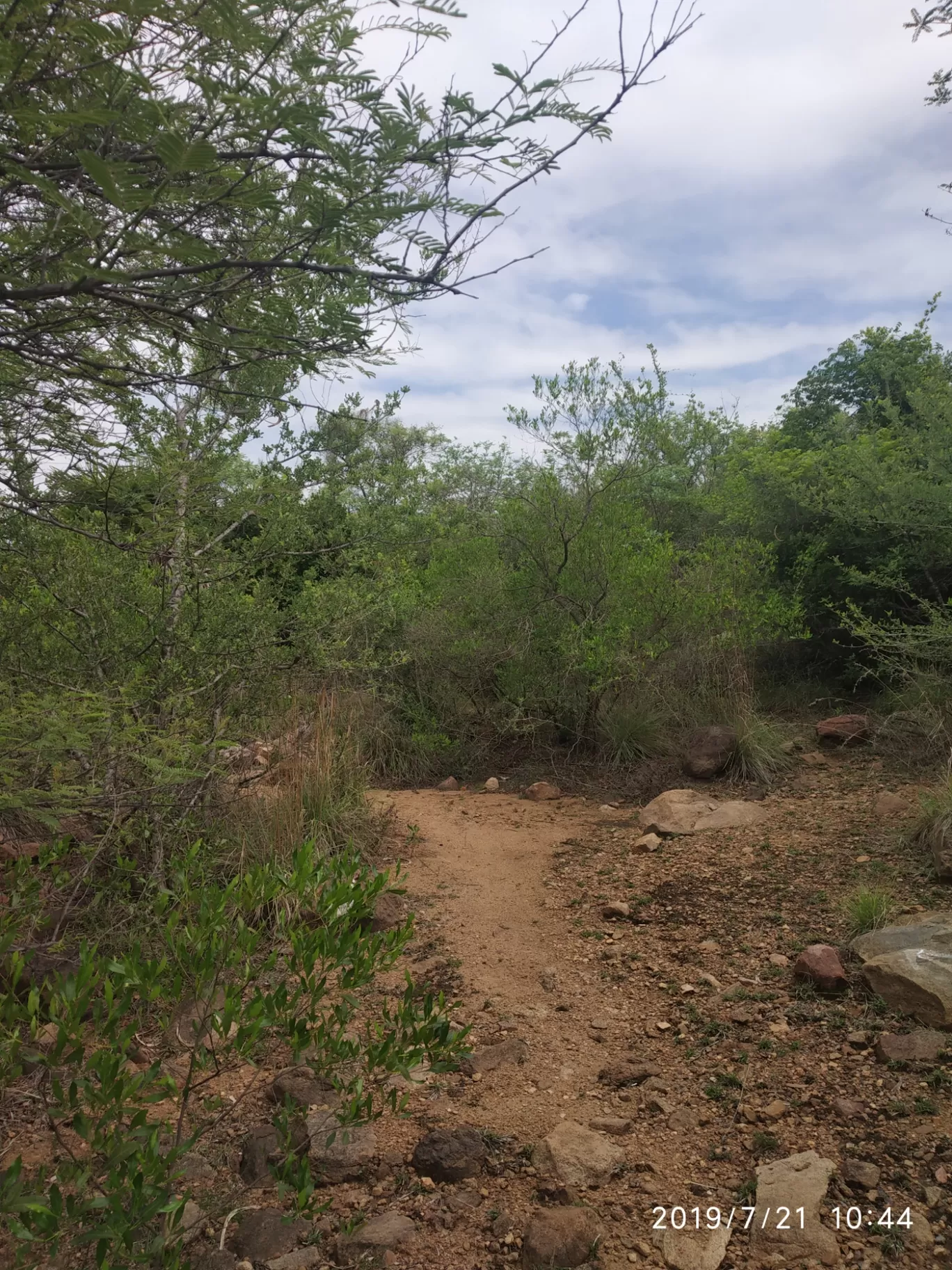 Photo of Girivalam Road By Praba Prakash