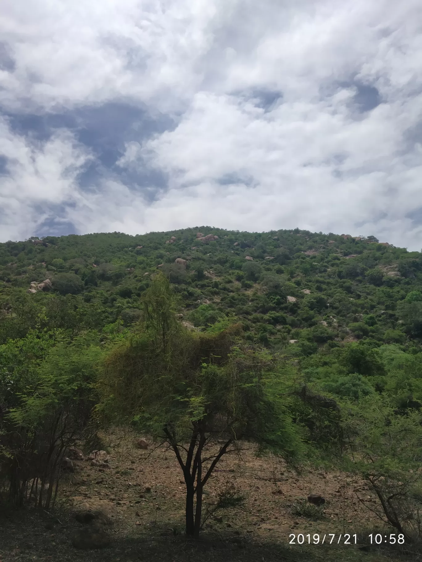 Photo of Girivalam Road By Praba Prakash