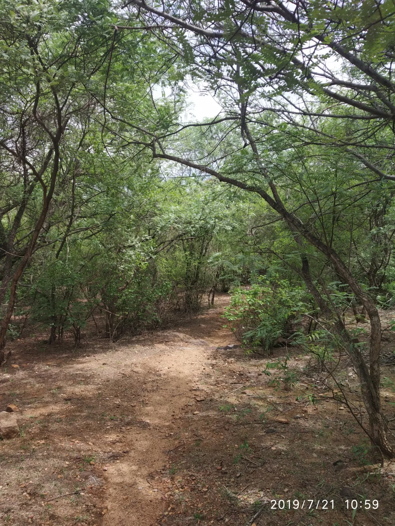 Photo of Girivalam Road By Praba Prakash