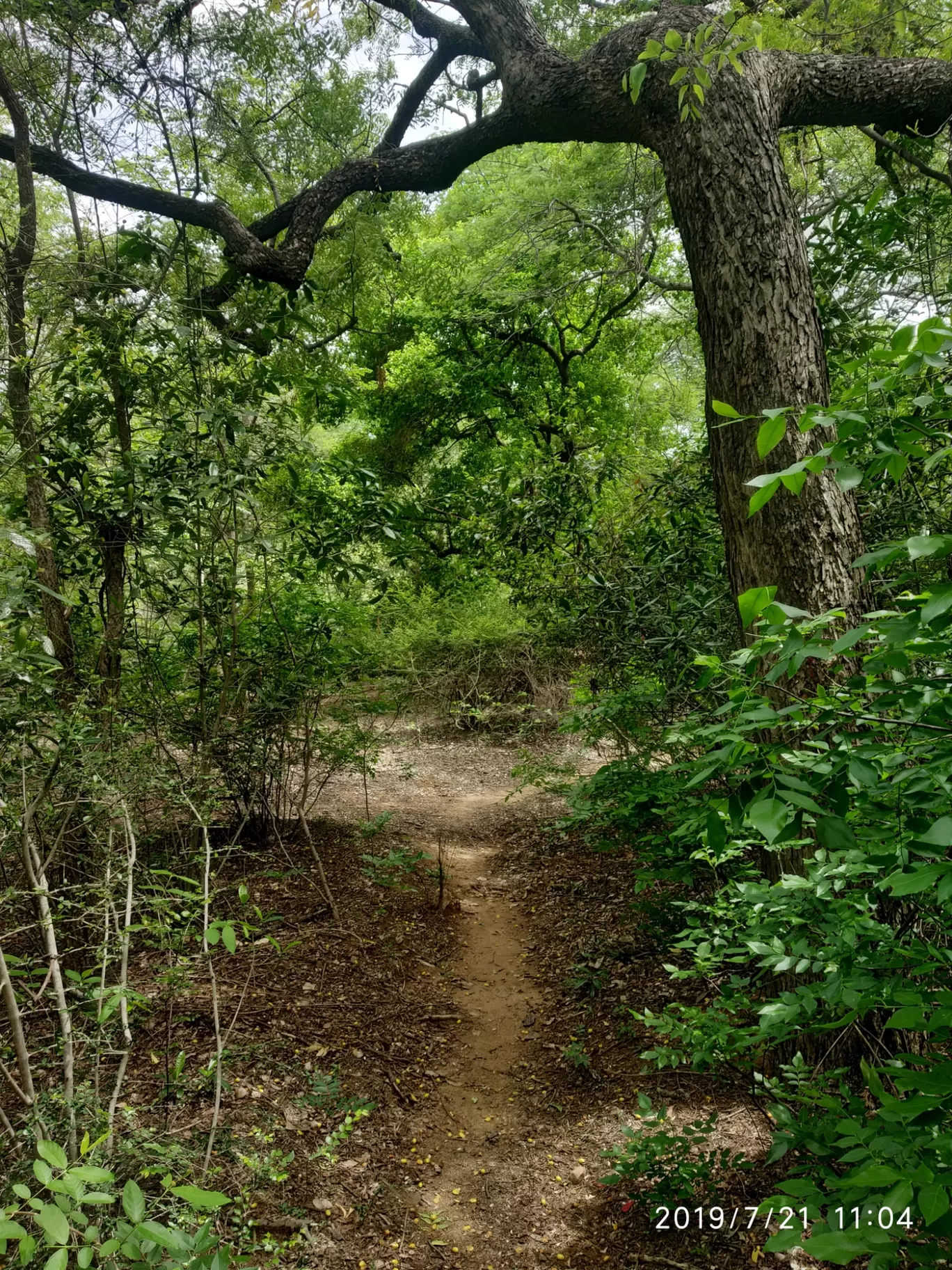 Photo of Girivalam Road By Praba Prakash