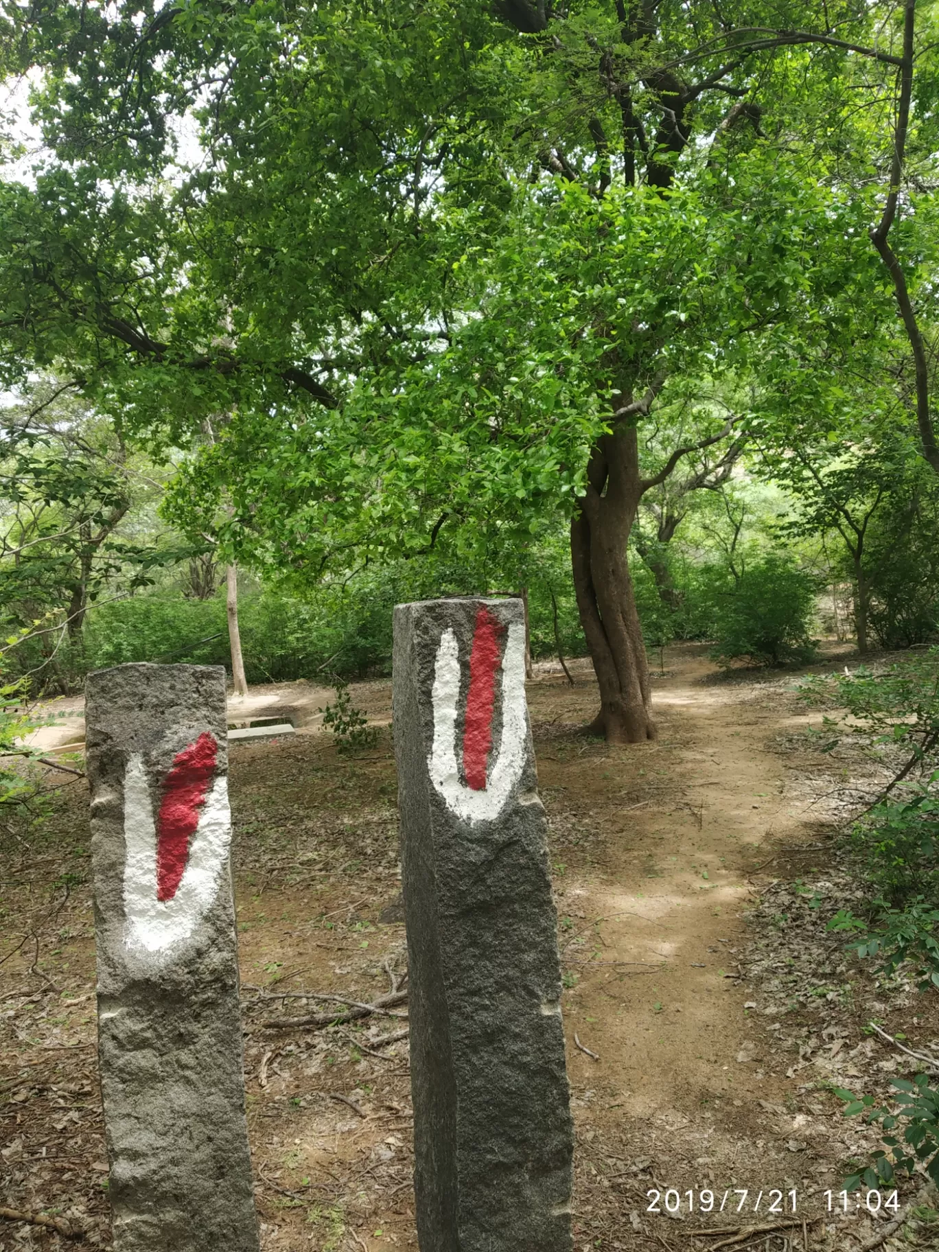 Photo of Girivalam Road By Praba Prakash