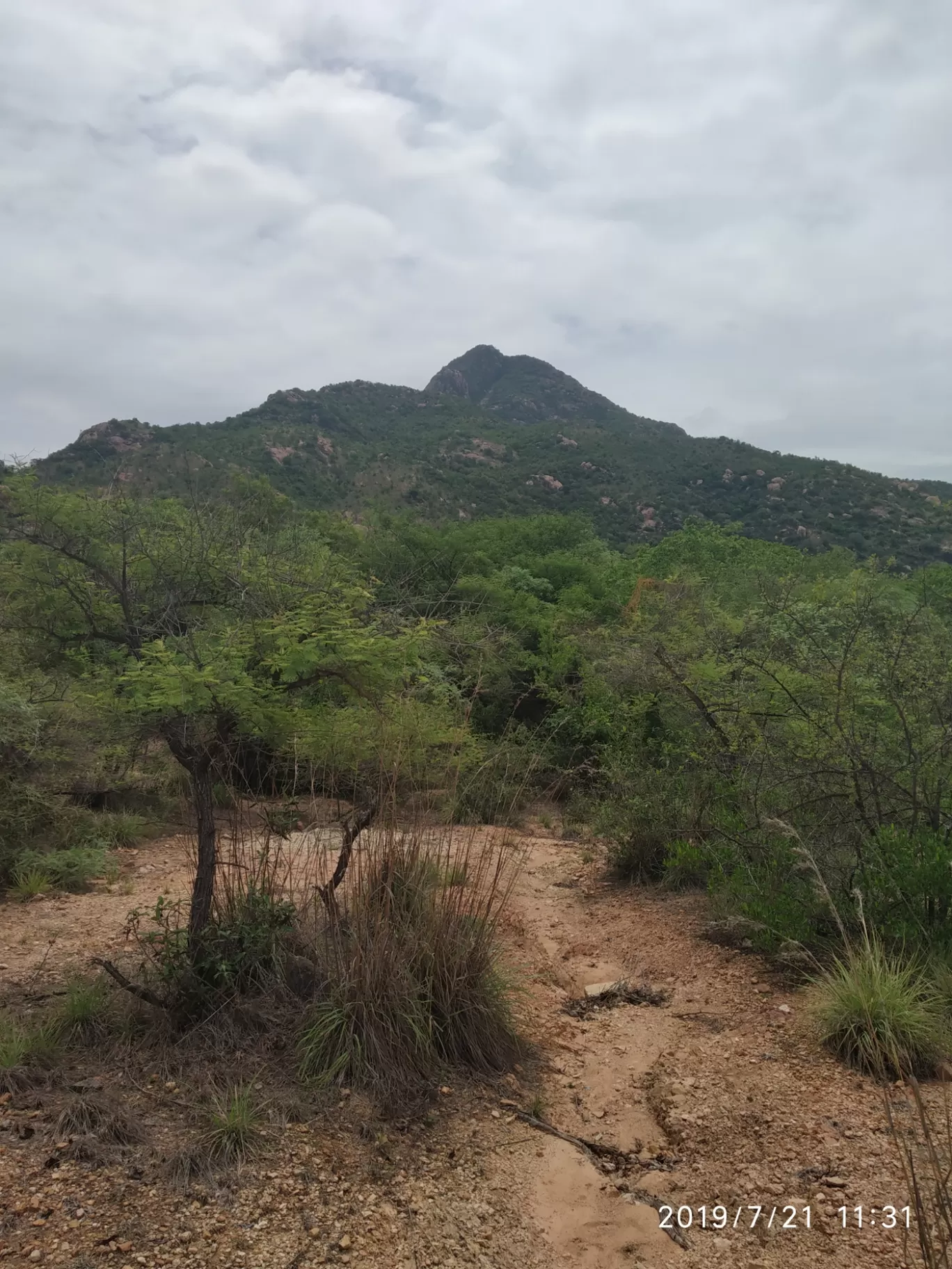 Photo of Girivalam Road By Praba Prakash
