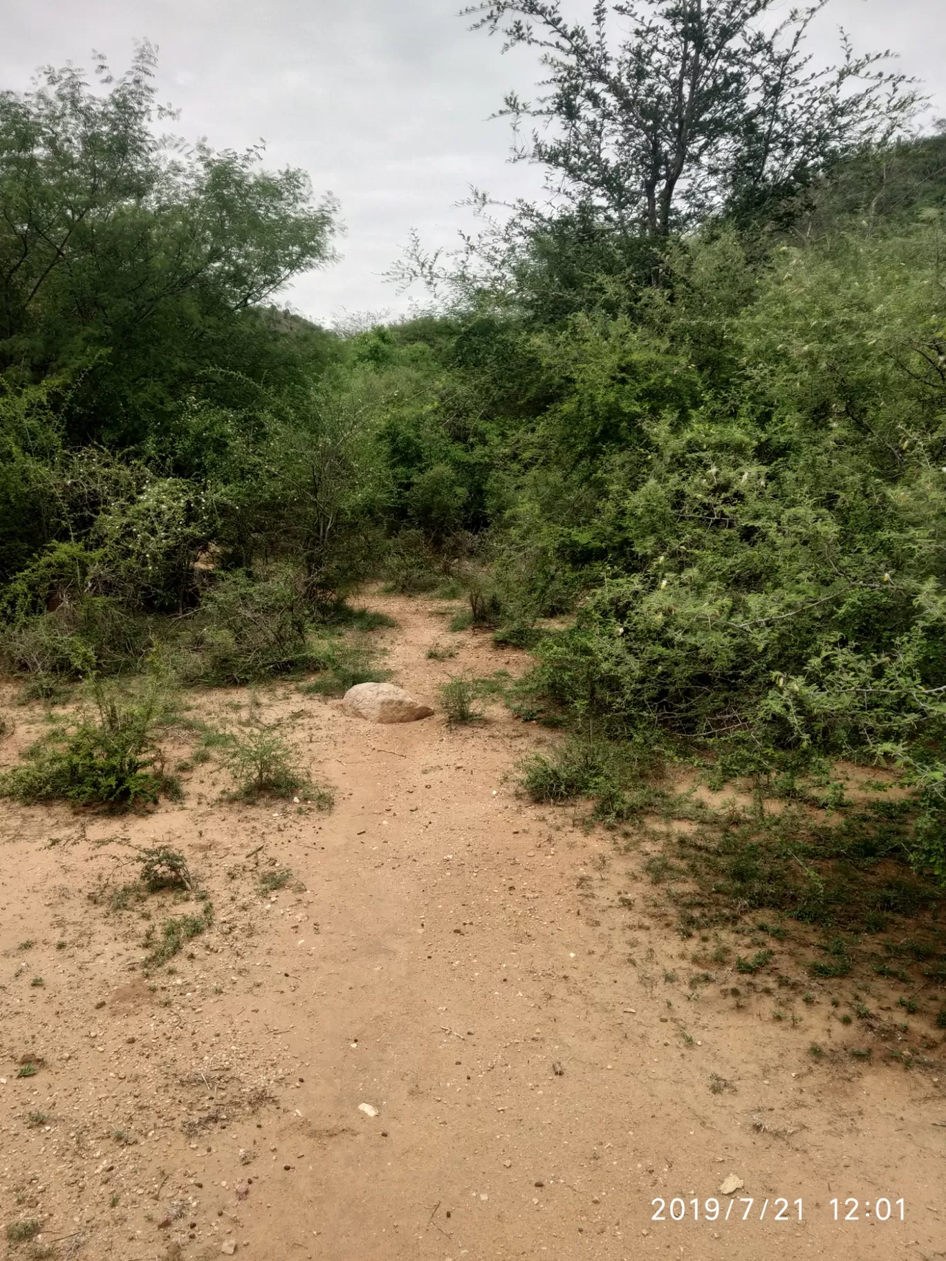 Photo of Girivalam Road By Praba Prakash
