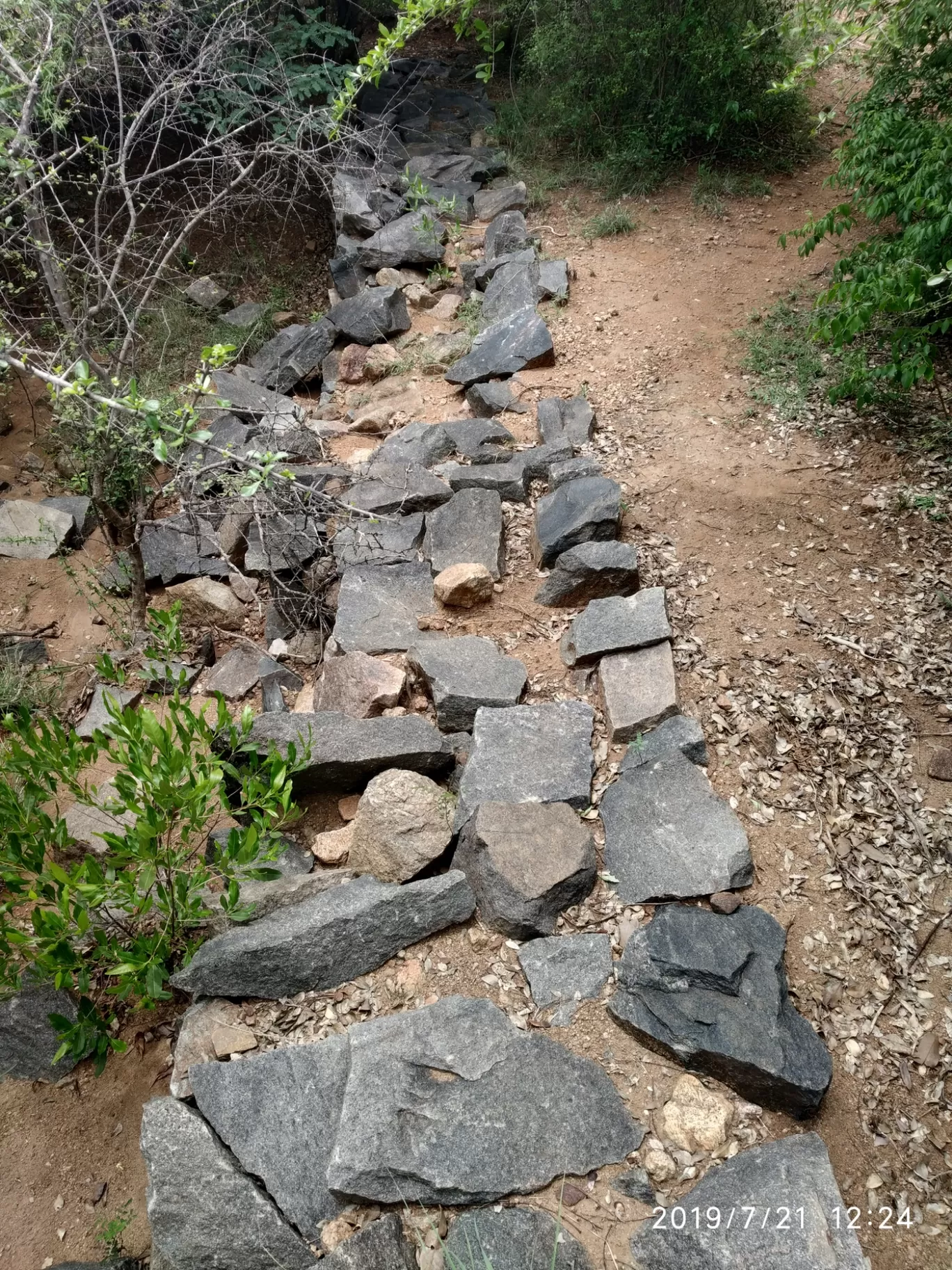 Photo of Girivalam Road By Praba Prakash