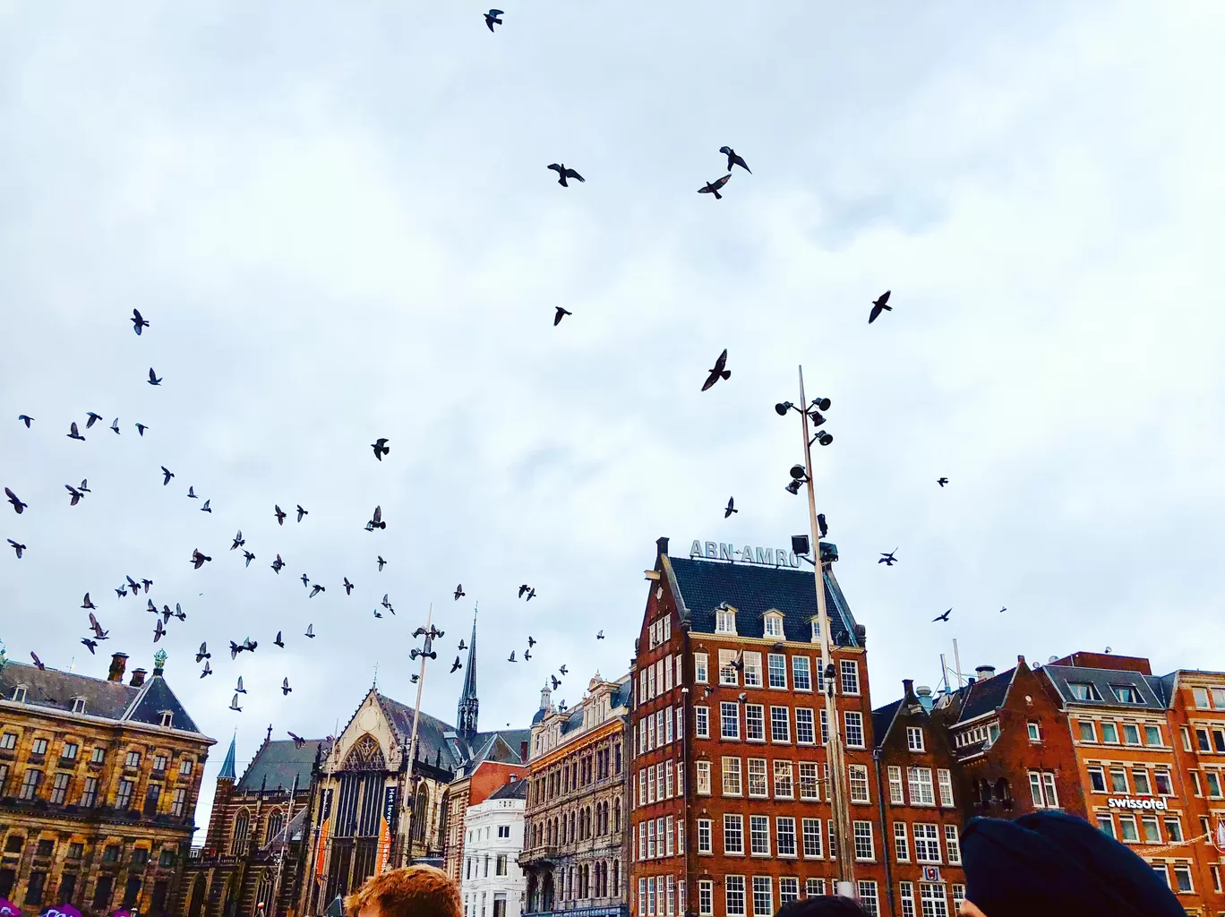 Photo of Amsterdam By Nibras S.