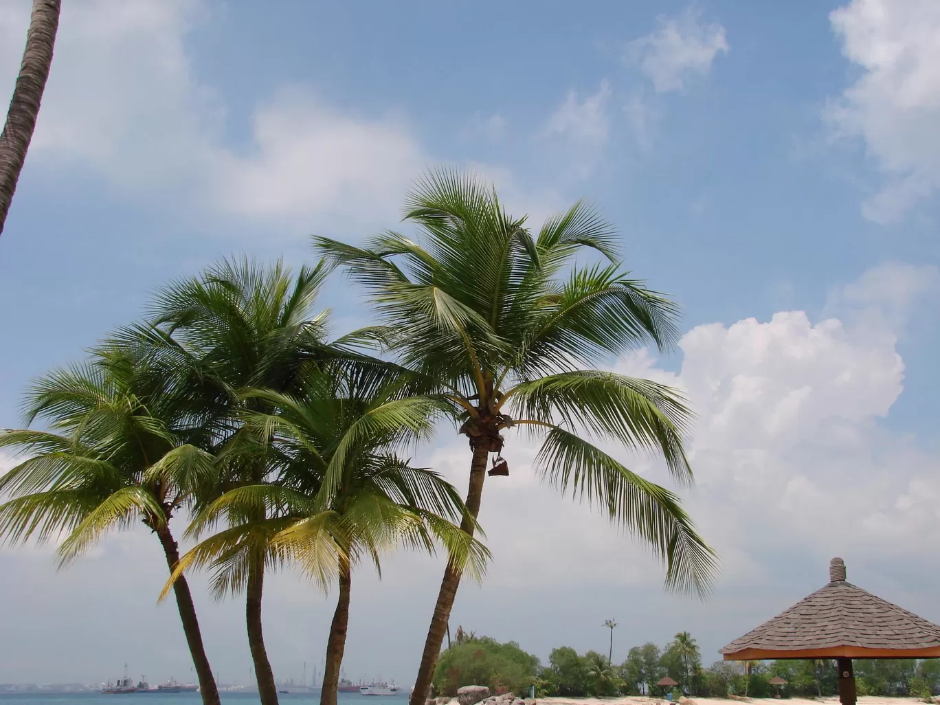 Photo of Sentosa Island By Srinidhi Kandi