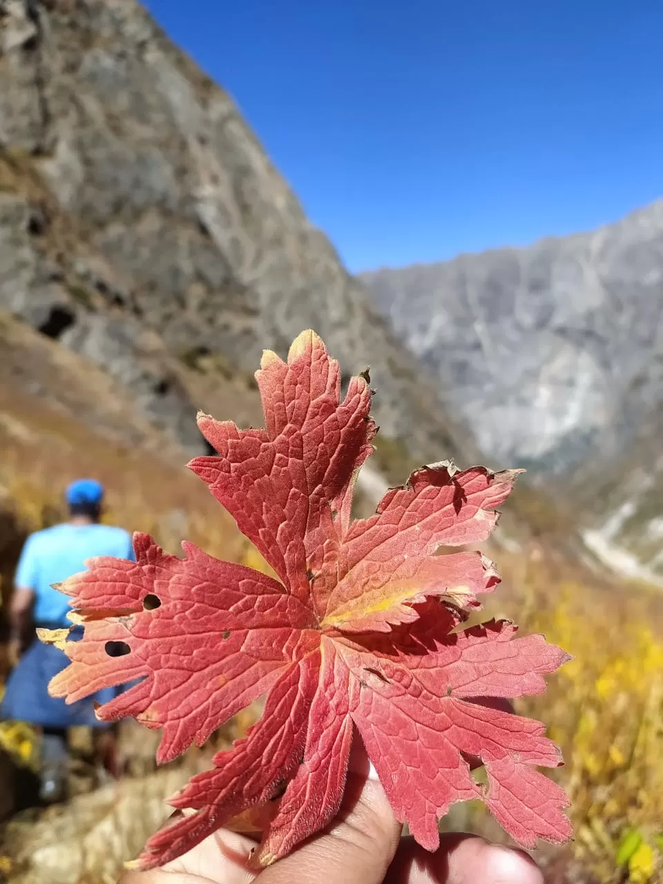 Photo of Kedartal By Swapnil Mathur