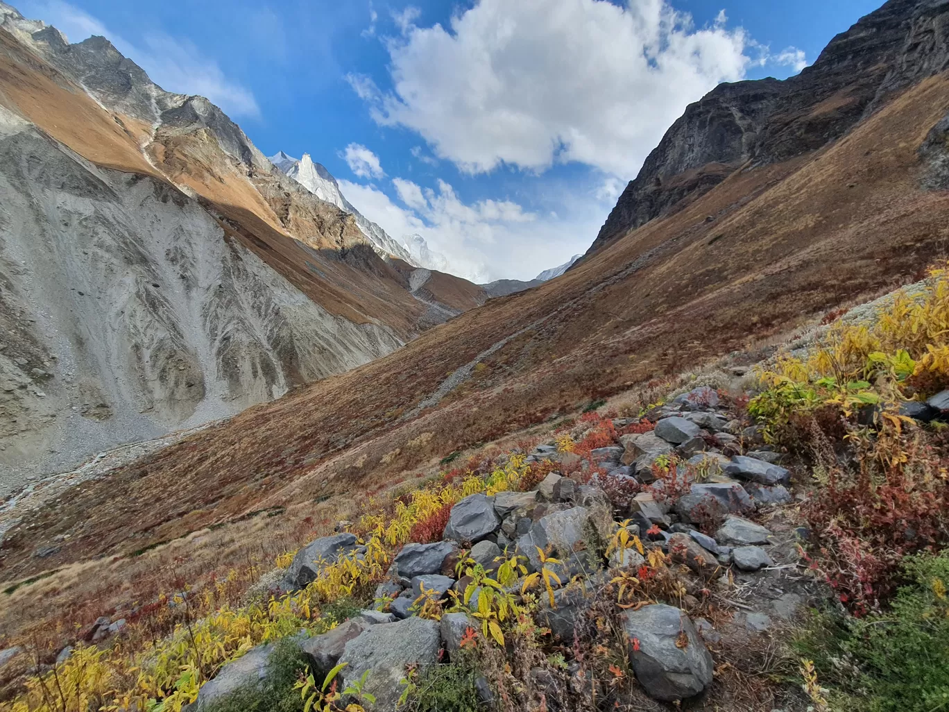 Photo of Kedartal By Swapnil Mathur