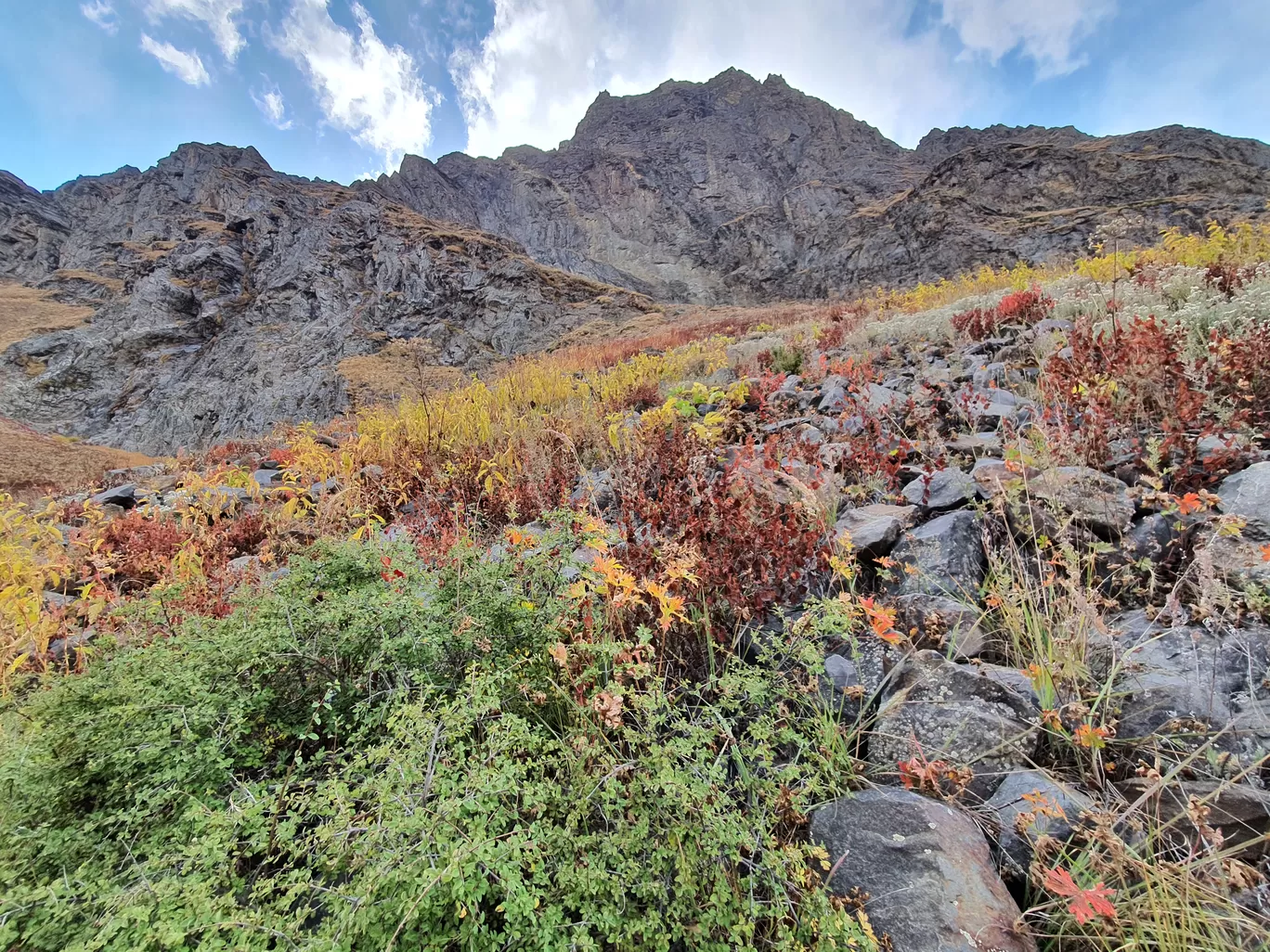 Photo of Kedartal By Swapnil Mathur