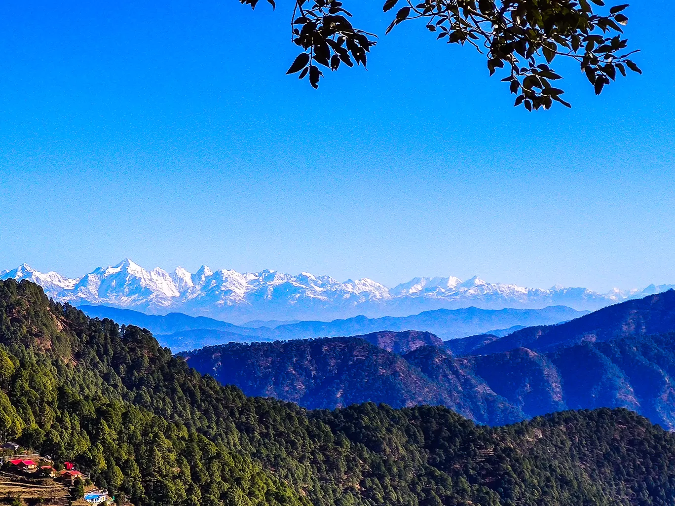 Photo of Pangoot By thewanderjoy