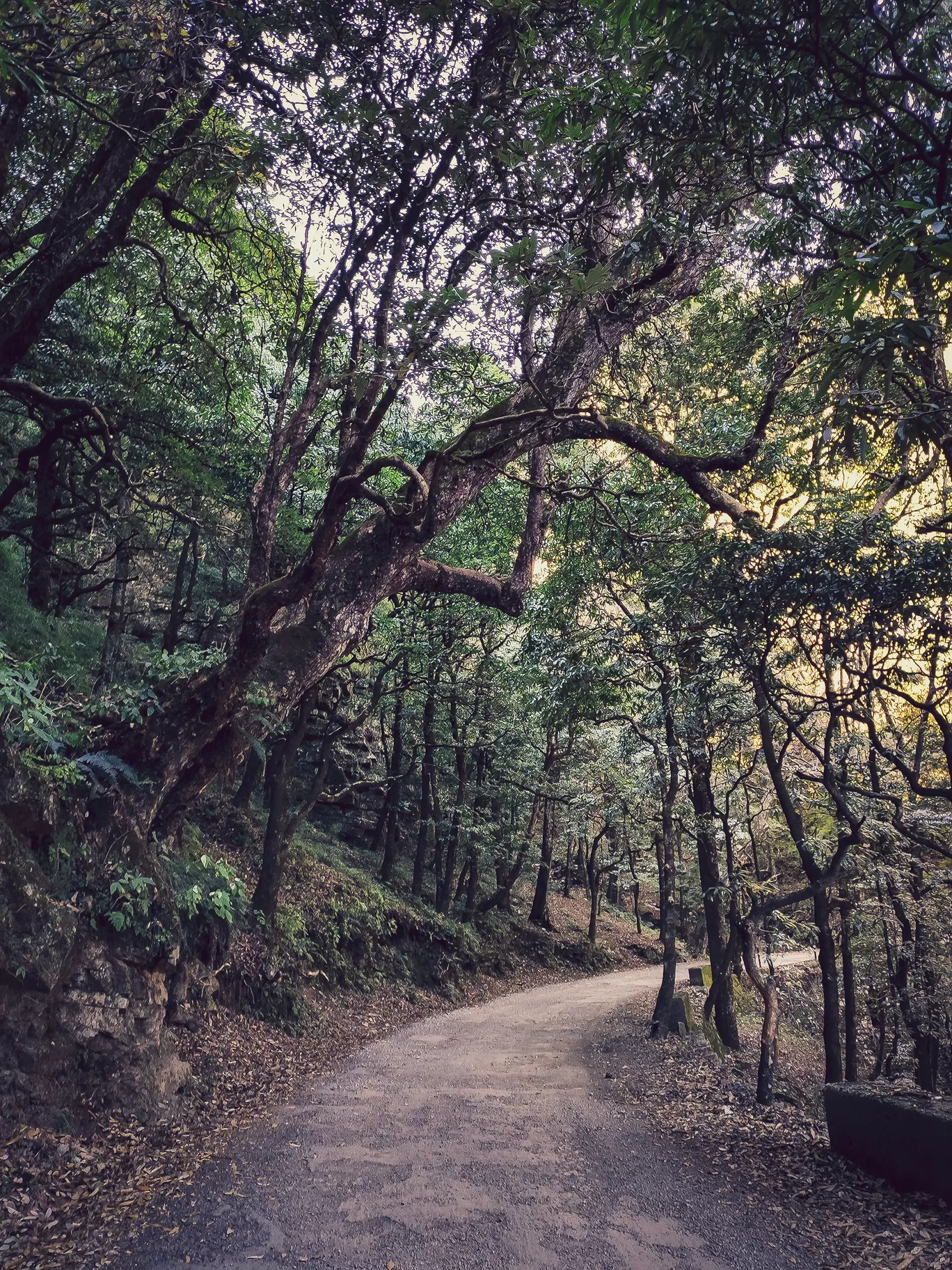 Photo of Pangoot By thewanderjoy