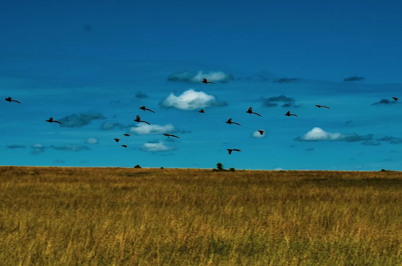 Photo of Kenya By thewanderjoy