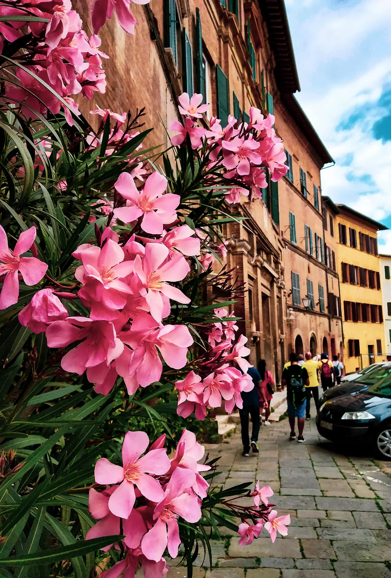 Photo of Siena By thewanderjoy