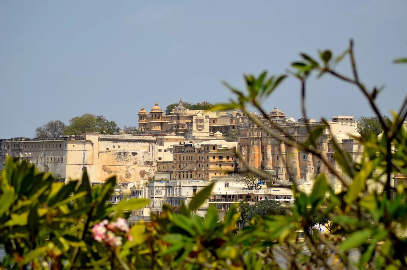 Photo of Udaipur By thewanderjoy