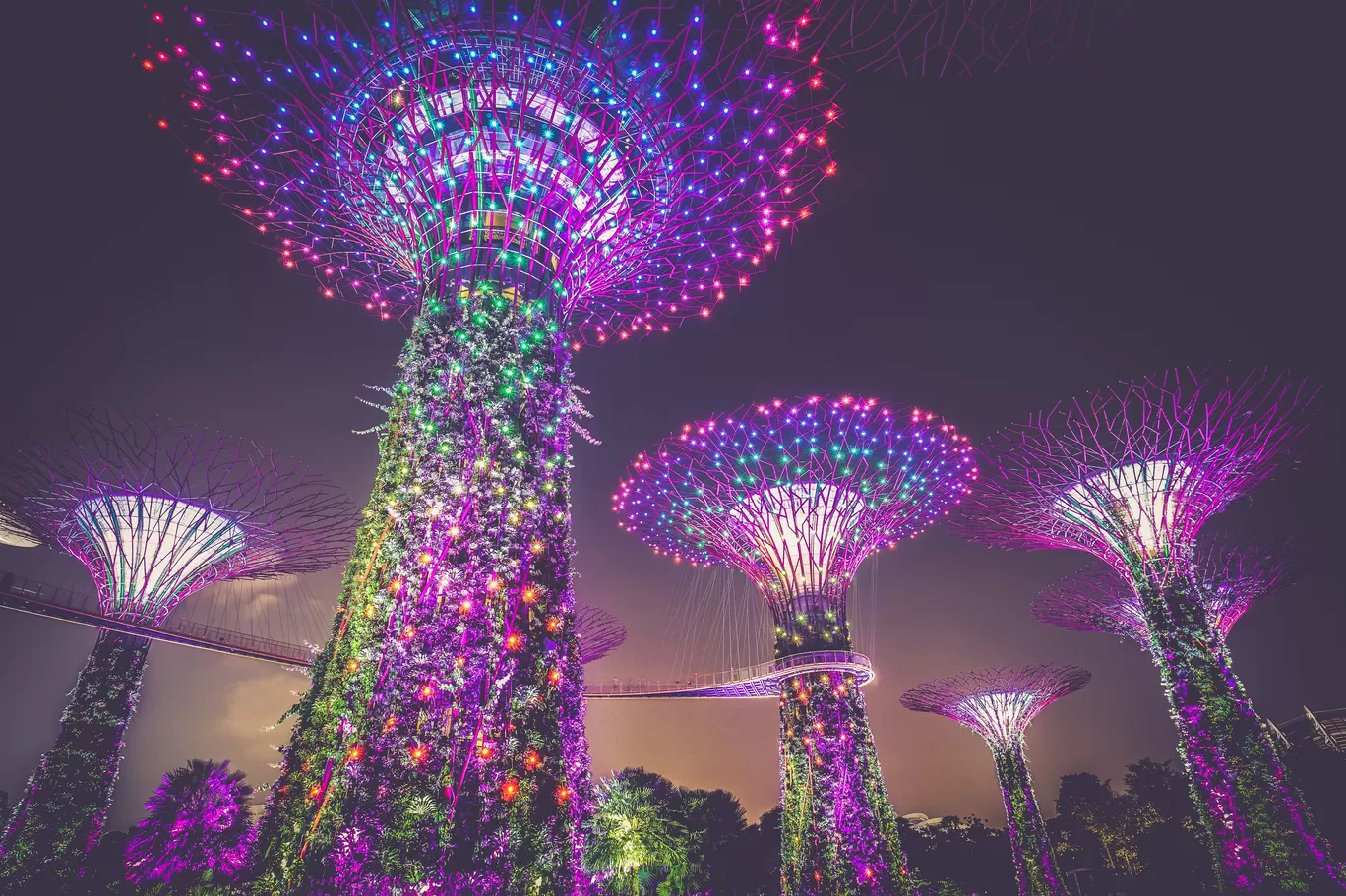 Photo of Singapore By thewanderjoy