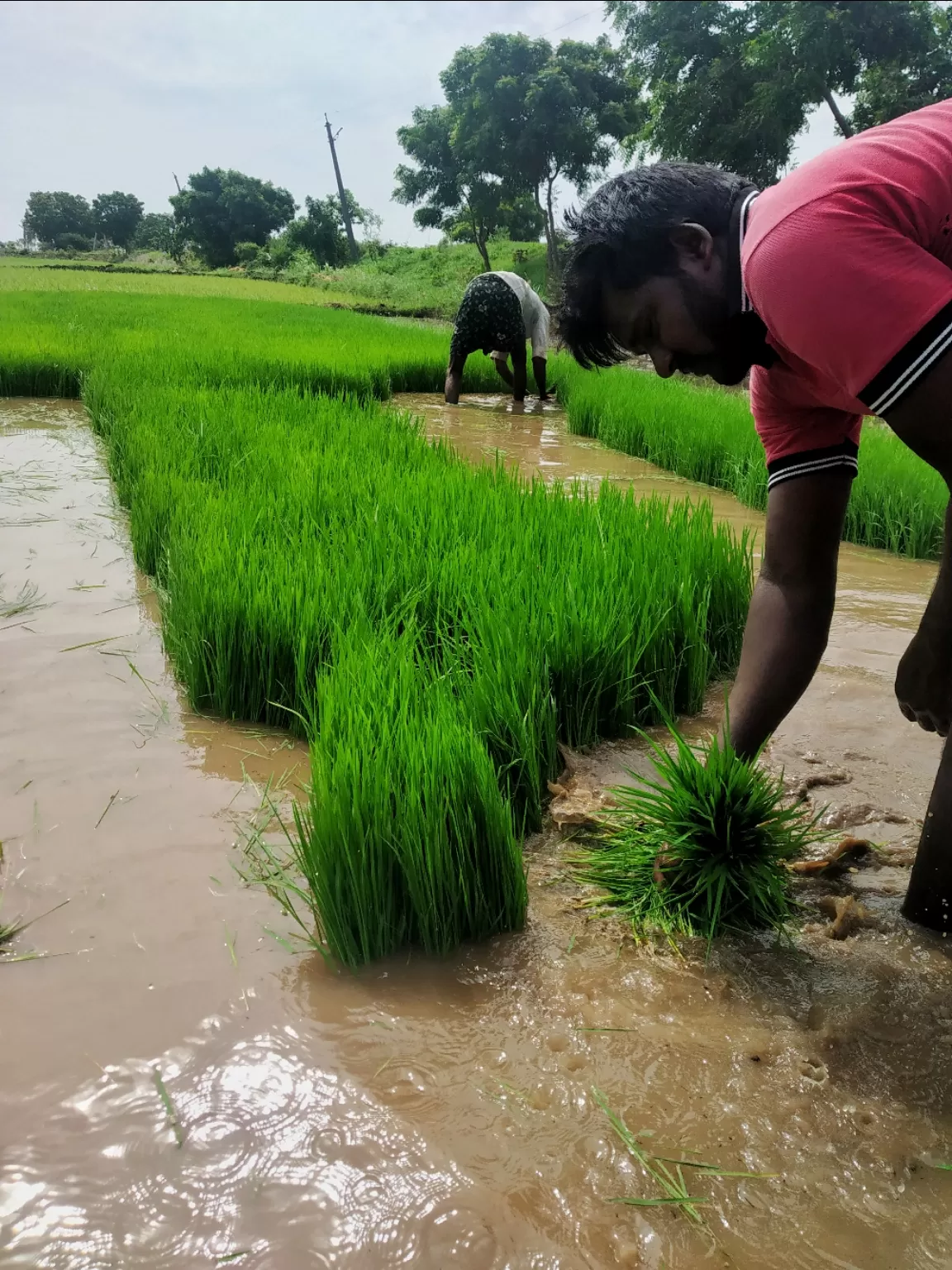Photo of 7/232 By Akash kota