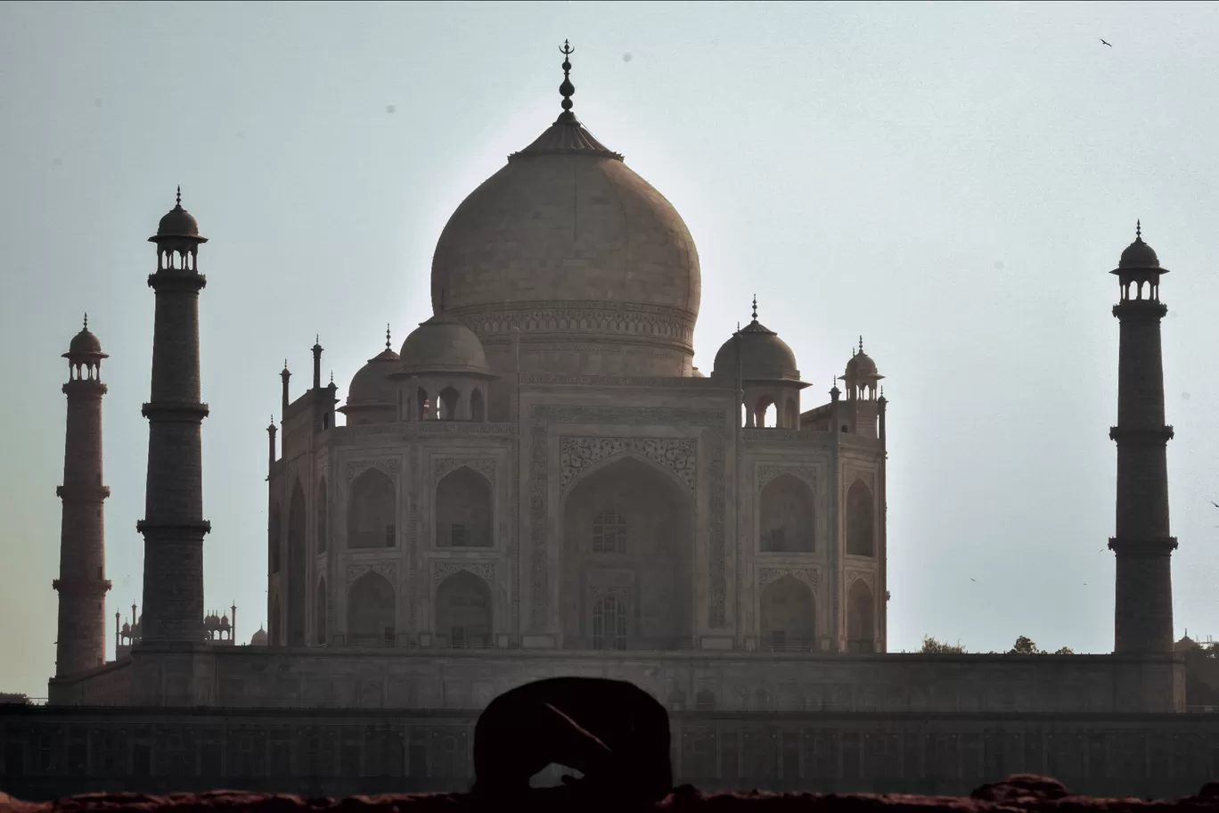 Photo of Mehtab Bagh By Hari Krishnan