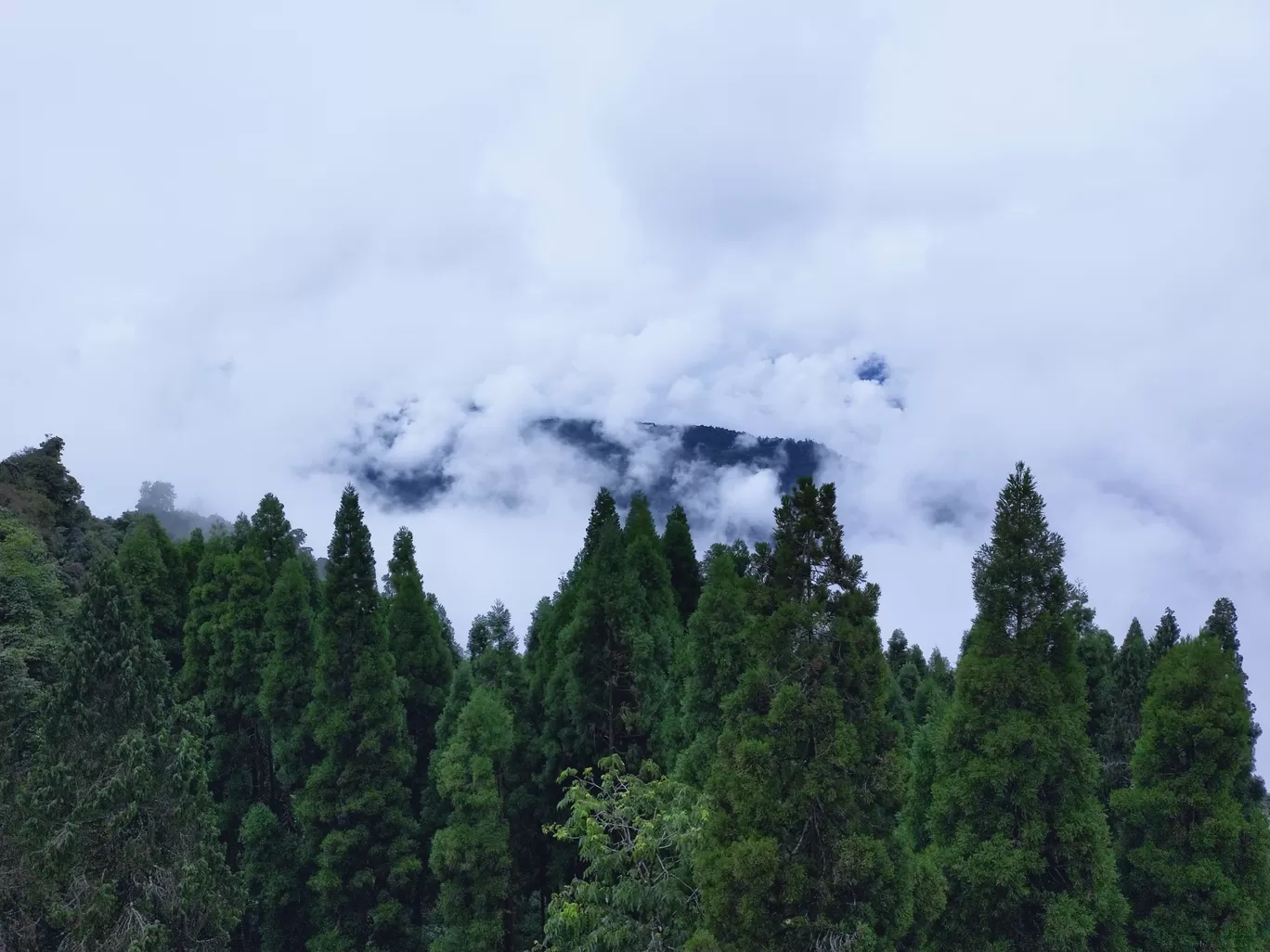 Photo of Sikkim By Kavita