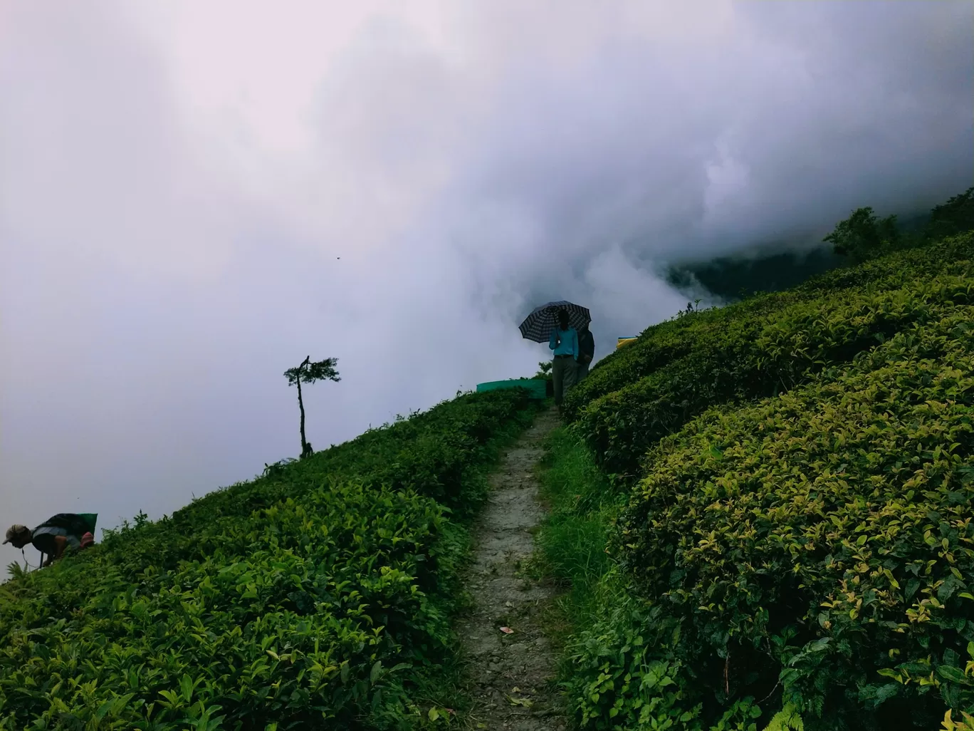 Photo of Sikkim By Kavita