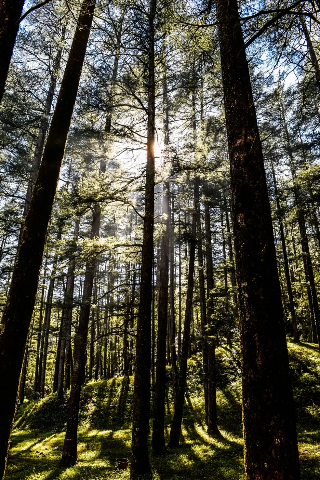 Photo of Lansdowne By Prakhar Rastogi