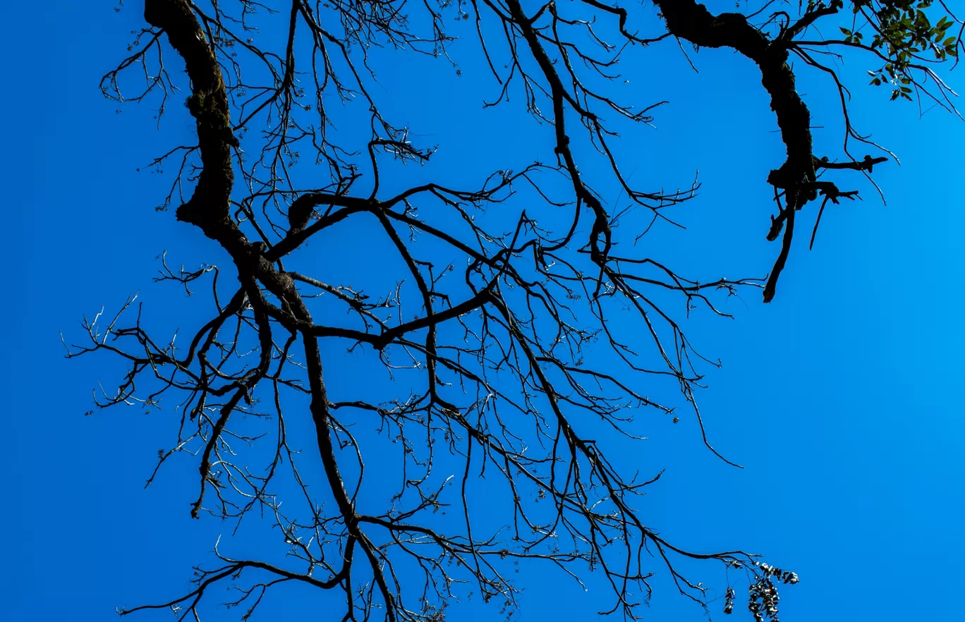 Photo of Lansdowne By Kartik Agarwal