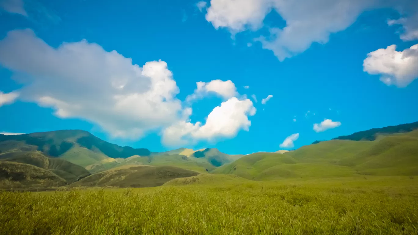Photo of Dzükou Valley By Aritra Sen