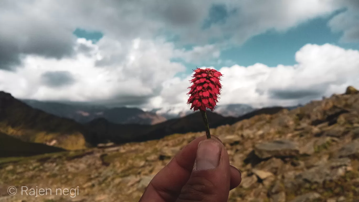 Photo of Bedini Bugyal By trekking uttarakhand 
