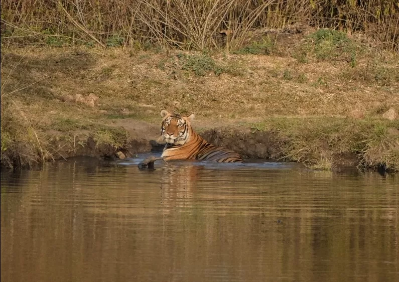 Photo of Kabini River Lodge By Sriram Singh